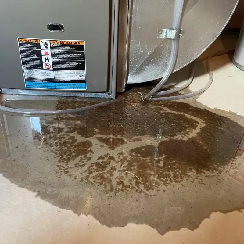 Appliance Leak Cleanup in Marinette County, WI